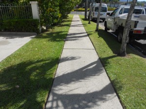 professional path cleaning