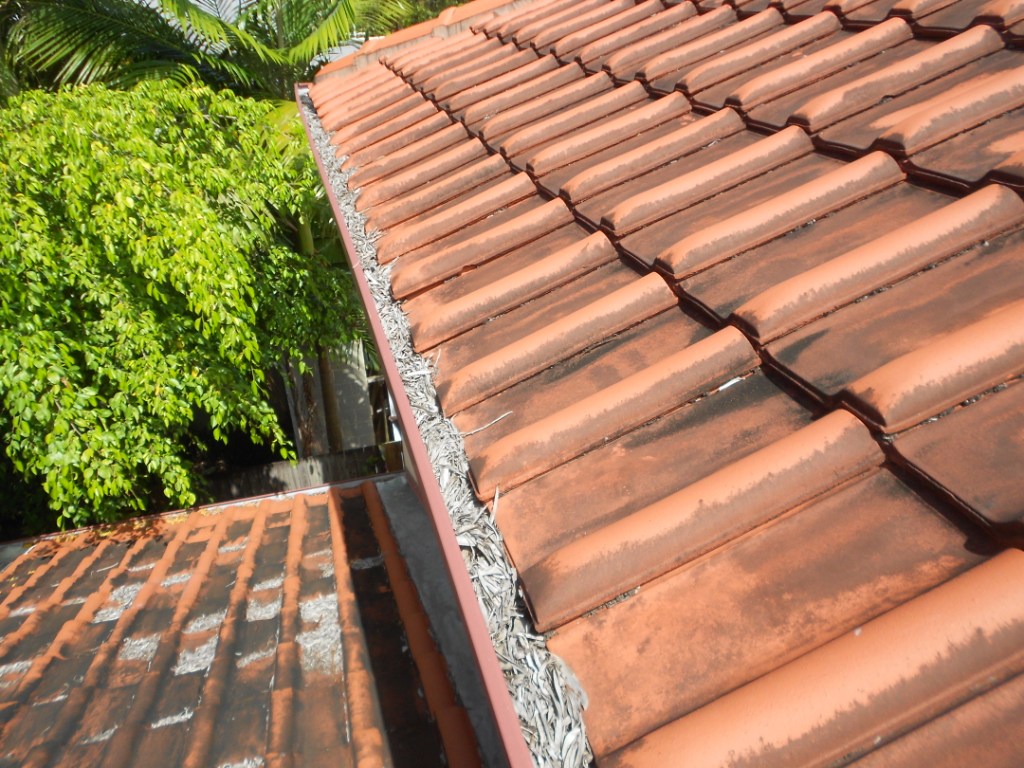 roof pressure cleaning cairns