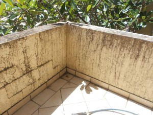 External wall cleaning